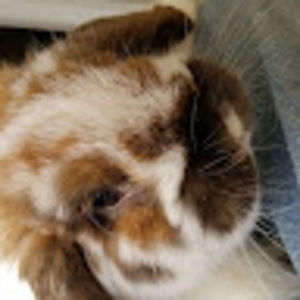 Meet your Posher, Ted